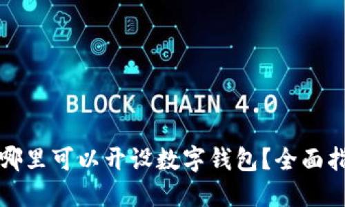 在哪里可以開設(shè)數(shù)字錢包？全面指南