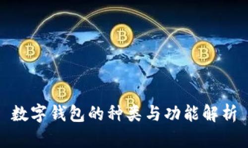 數(shù)字錢包的種類與功能解析