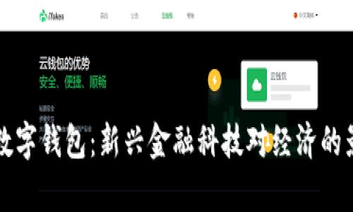 尼日利亞數(shù)字錢包：新興金融科技對經(jīng)濟的影響與前景