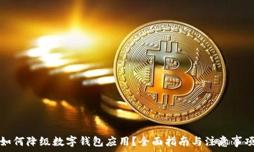   
如何降級數字錢包應用？全面指南與注意事項