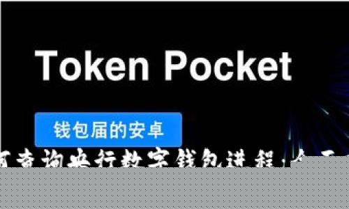 如何查詢央行數(shù)字錢包進(jìn)程：全面指南