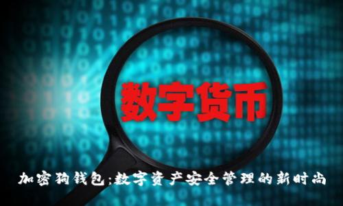 加密狗錢包：數(shù)字資產安全管理的新時尚