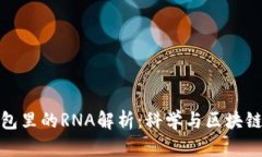 小狐錢包里的RNA解析：科