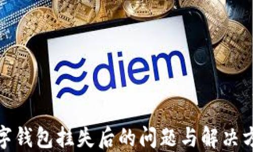
數(shù)字錢包掛失后的問題與解決方案