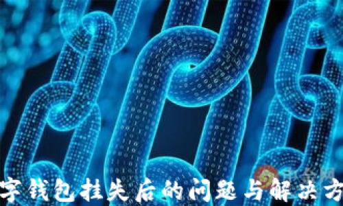 
數(shù)字錢包掛失后的問題與解決方案